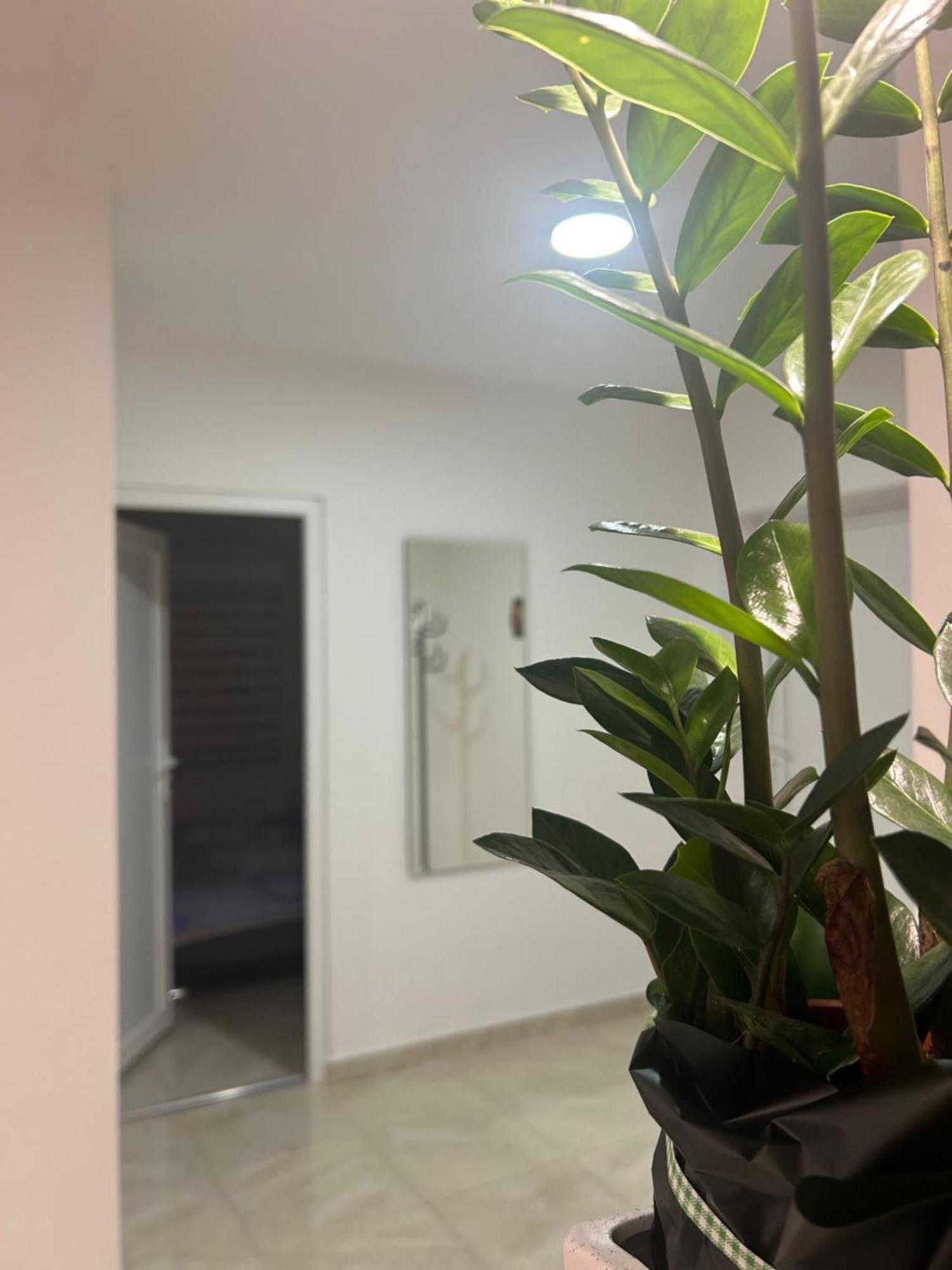 Apartman Diamond Lux Surčin Kültér fotó