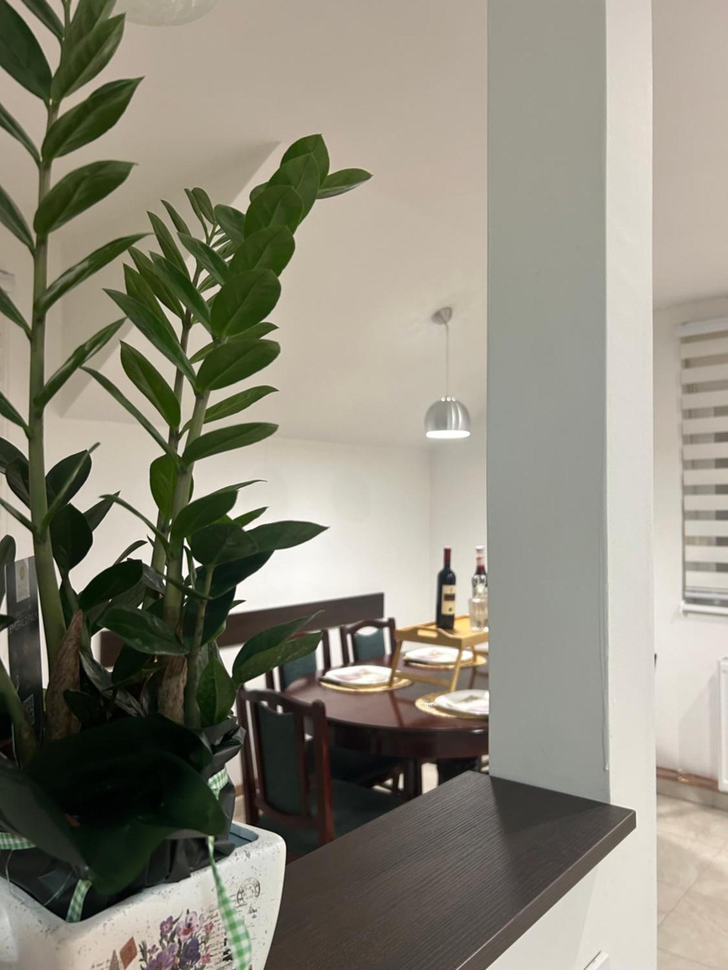 Apartman Diamond Lux Surčin Kültér fotó